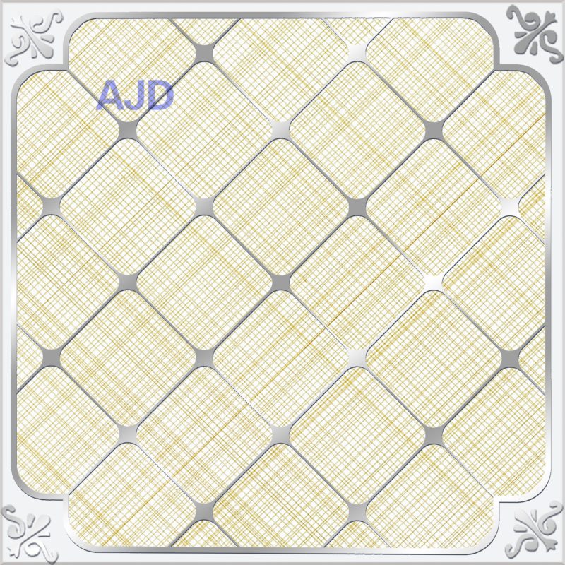 楼兰风情
